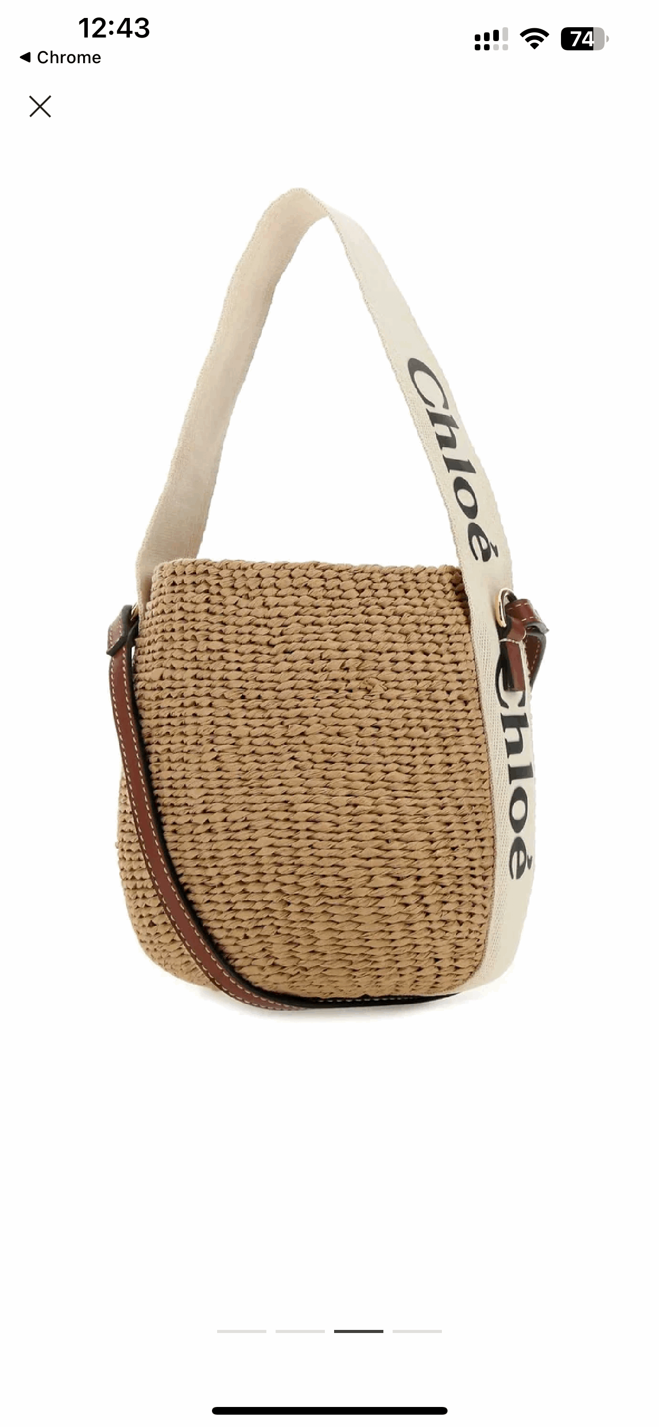 Chloe Small Woody Basket Bag in Natural Fibres