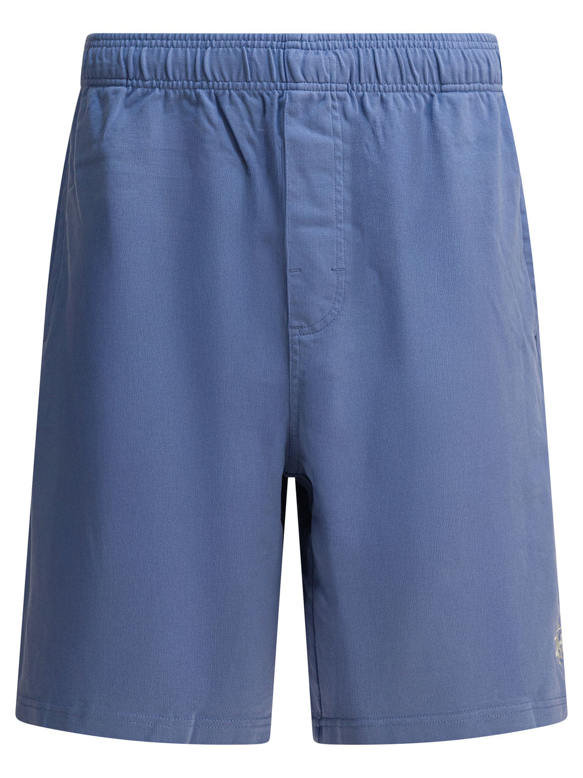 Stüssy Shorts - Blue