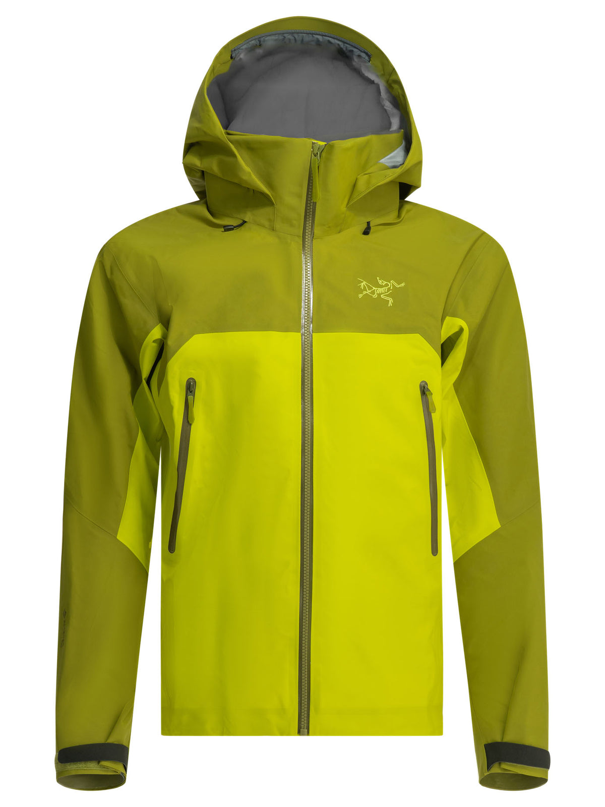 Arc'teryx "Beta AR" Technical jacket - Green