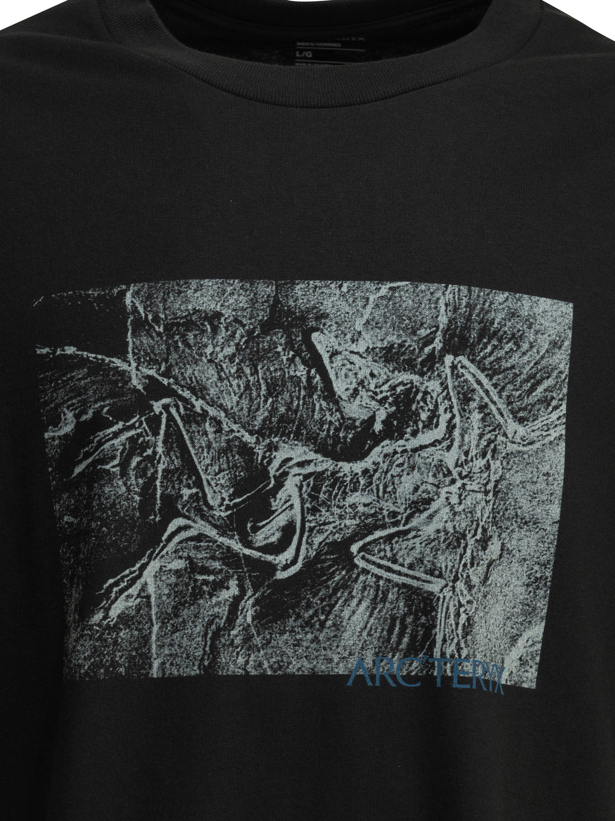 Arc'teryx "Kragg Cotton Lithographica SS" crewneck T-shirt - Black