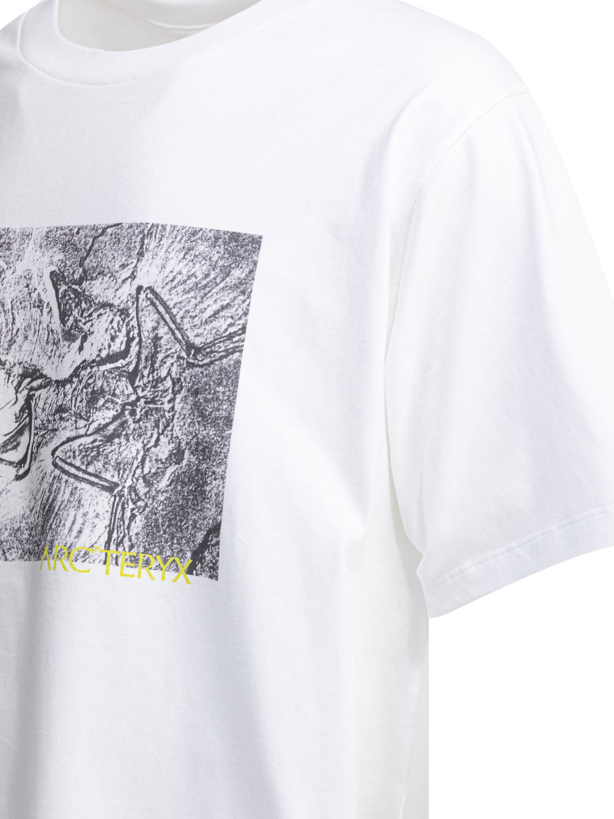 Arc'teryx "Kragg Cotton Lithographica SS" crewneck T-shirt - White