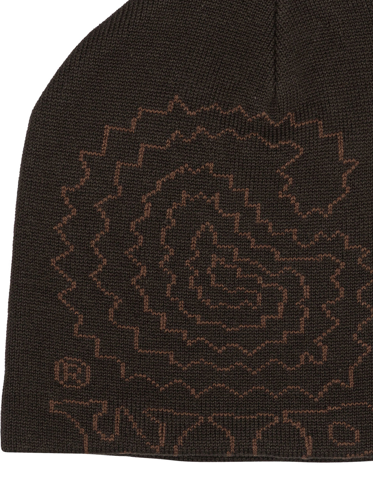 Carhartt WIP "Limn C" Beanie - Brown