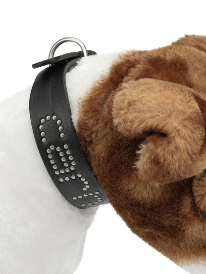 Carhartt WIP "Script Studs" Dog Collar S/M - Black