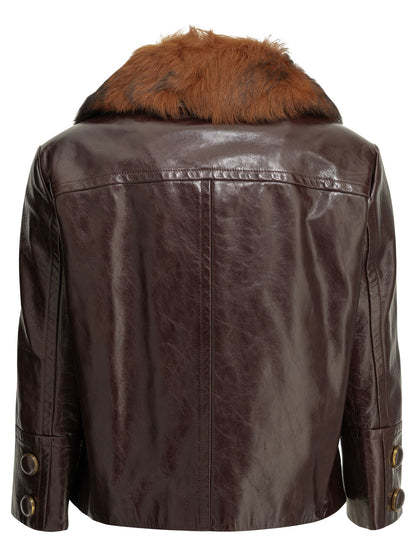 Chloé Cropped leather jacket - Bordeaux