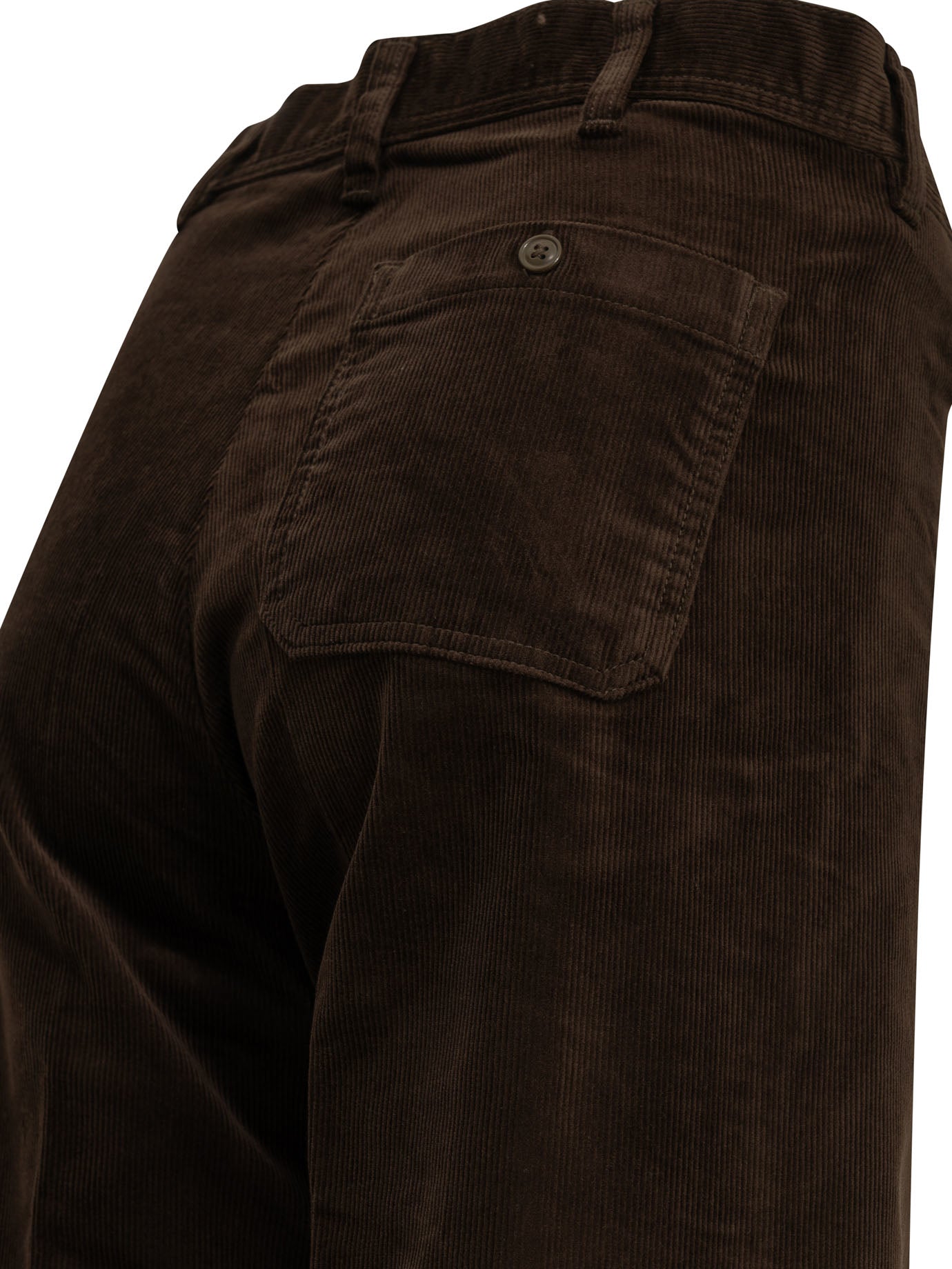 Polo Ralph Lauren "Beaton" Casual Pants - Brown