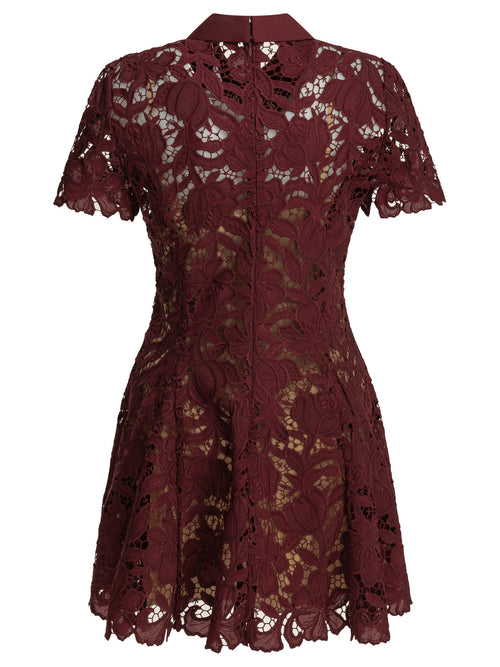 Self-Portrait Short lace dress - Bordeaux