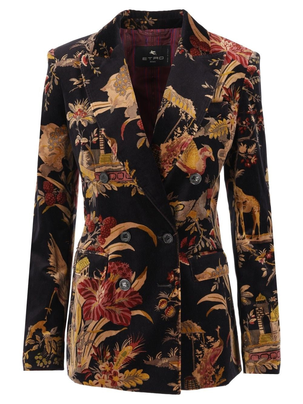 Etro Double-Breasted Jacket - Multi